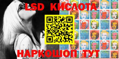 стаф Новодвинск