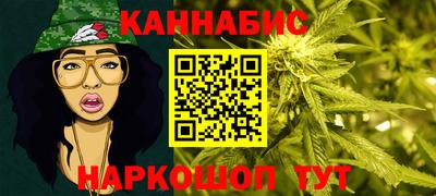 стаф Новодвинск