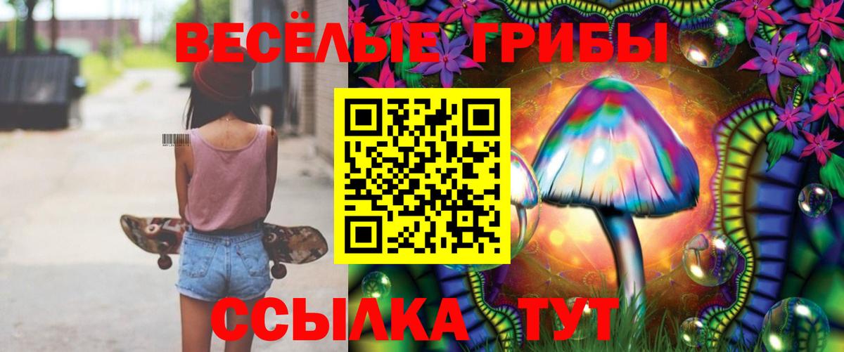 Тула  Псилоцибиновые грибы Psilocybe  Вход с VPN  Псилоцибиновые грибы ЛСД 